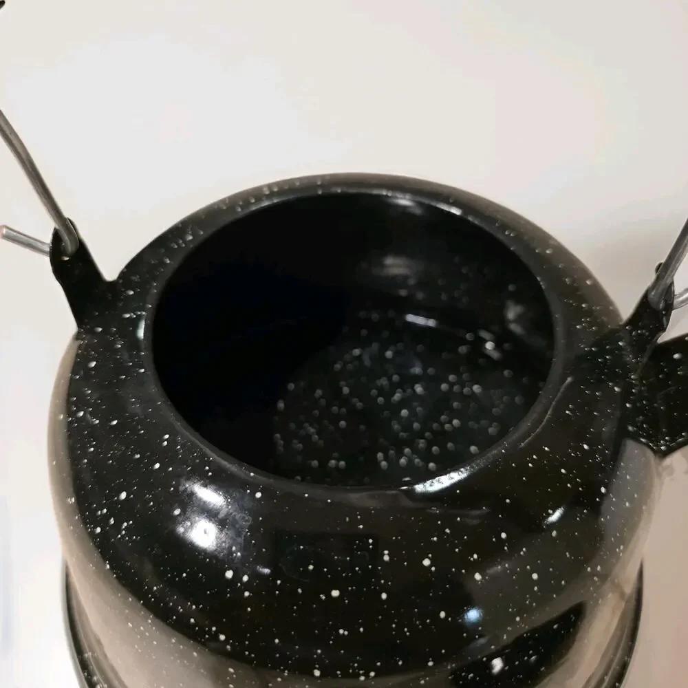 Frida Kahlo Tea Kettle Special Edition Enameled Steel With Lid Mexico 2.3L NoBox